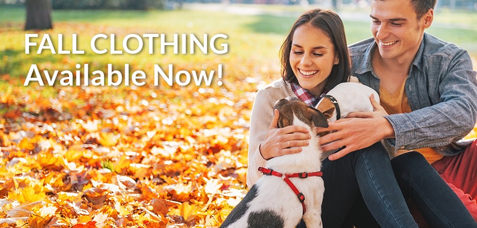 fall clothing